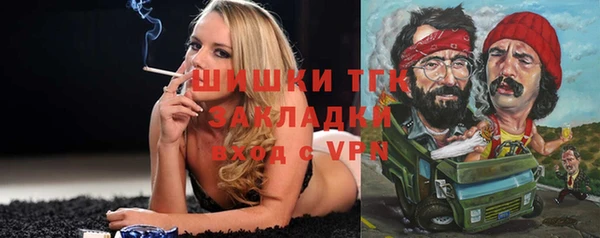 МДПВ Щигры