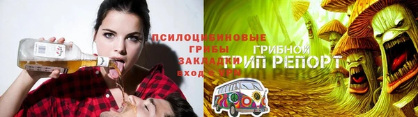 ПСИЛОЦИБИНОВЫЕ ГРИБЫ Кодинск