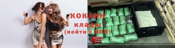 ПСИЛОЦИБИНОВЫЕ ГРИБЫ Кодинск