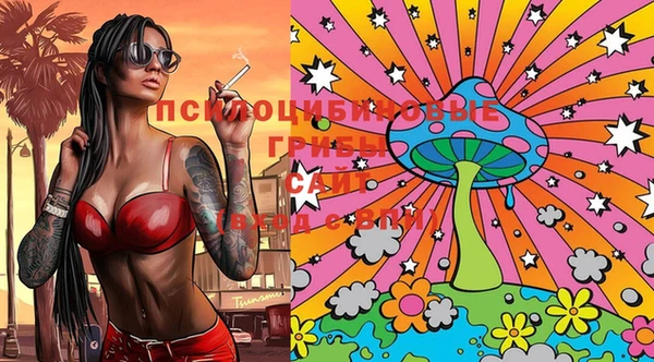 трава Щучье