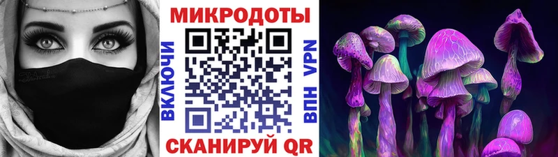 Псилоцибиновые грибы Cubensis  Купить где  Куйбышев 